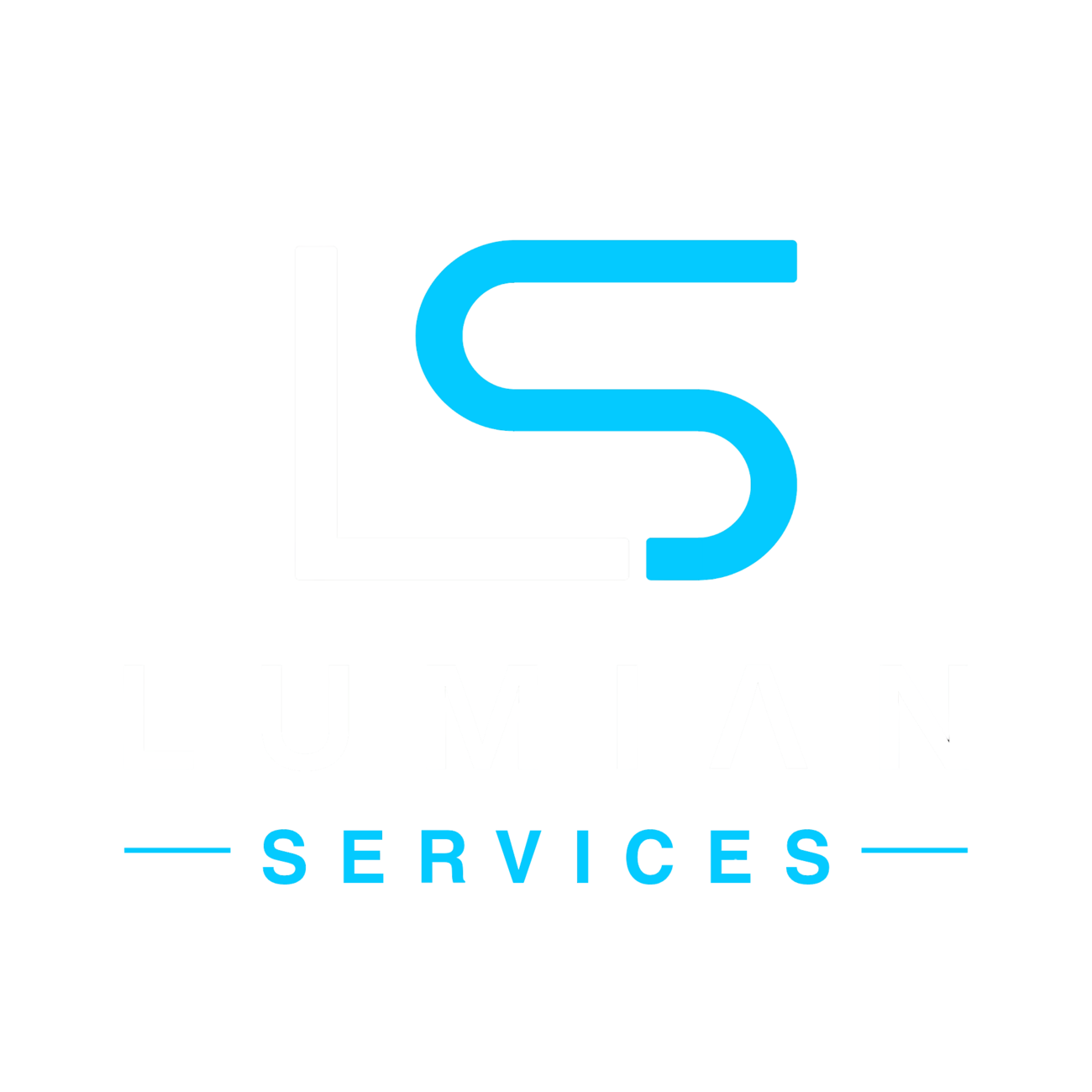 Lumian Services Logo